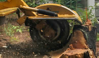 Stump Removal in Littleton CO